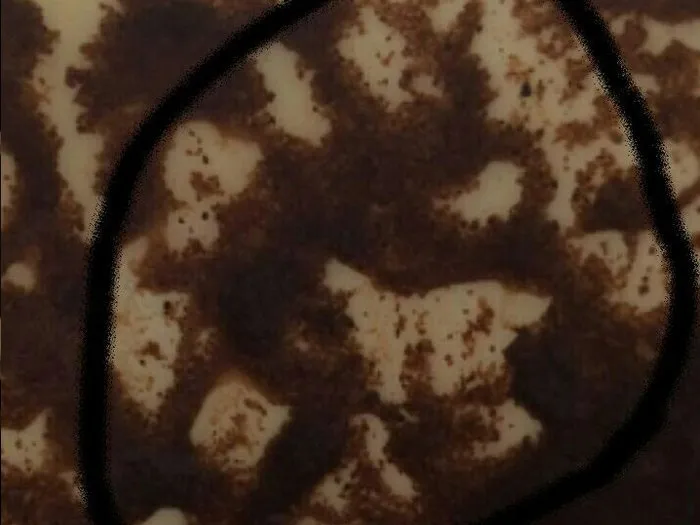 Запись на прием к гадалке в Симферополе